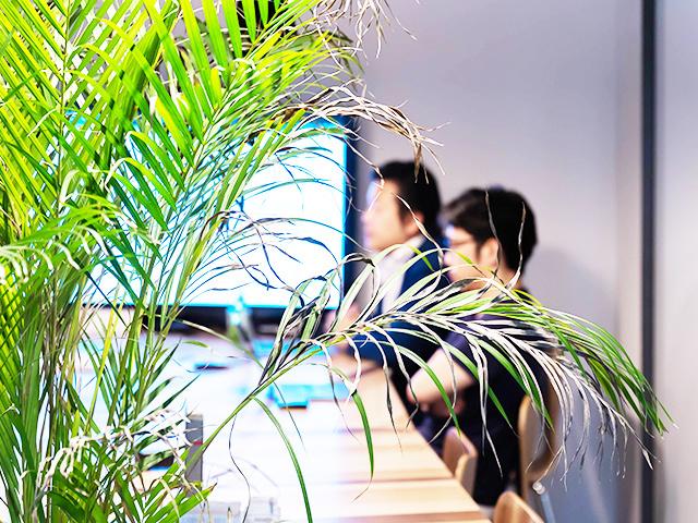 シナリオの作成やWebサイト上での動作確認まですべて代行。クライアントはたった1行のコードをWebサイトへ設置するだけで導入できる。