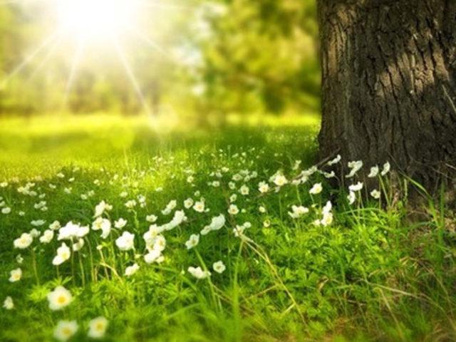 徒歩圏にある靭公園でリフレッシュできるのも良い点