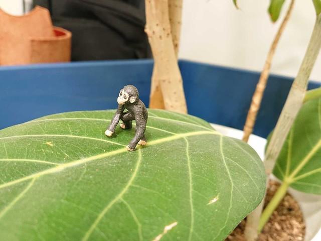 株式会社 アルカディア・プラスのイメージ画像2