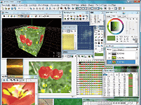 ゲーム業界ほぼ全社が導入する「OPTPix imesta」の画面