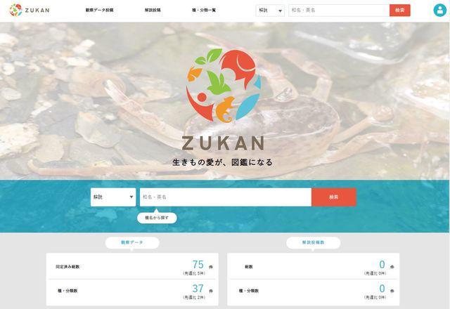 現在クローズドで運営しており仕込み中だという「ZUKAN」は、「生きもの情報を、より身近に、より正確に、もっと楽しく」をミッションに、生き物についての解説を見たり、観察情報を共有したりできる。生きもの観察が楽しくなる生物プラットフォームを目指す。