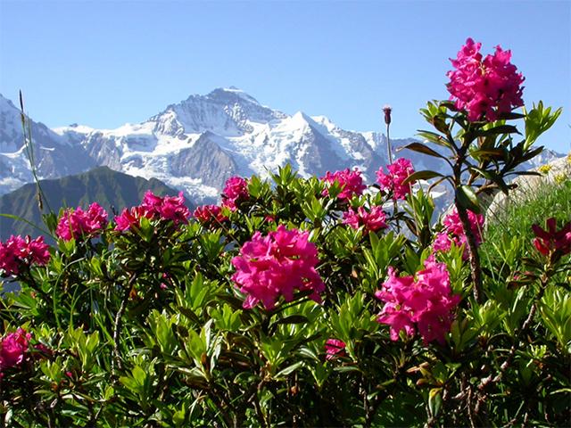 世界中を探してみつけた原材料や技術を、プロダクトに具現化します。