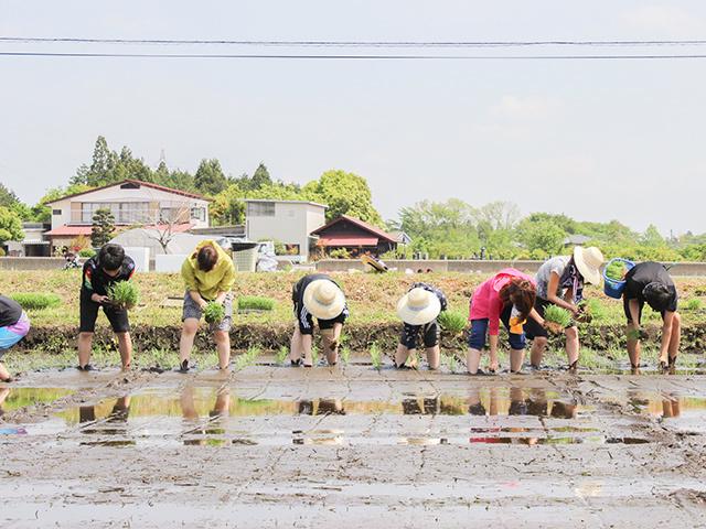 社員の”やりたいこと”に極めて寛容であり、様々なチャレンジに対して許容する文化がある。