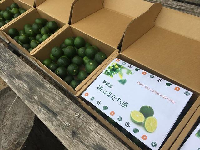 毎年秋ごろに、えんがわオフィスのスタッフが無農薬すだちを箱詰めして、お得意様へお届けしています。