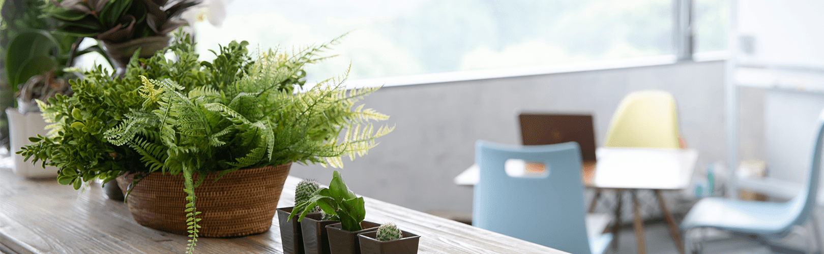 企業トップ画像