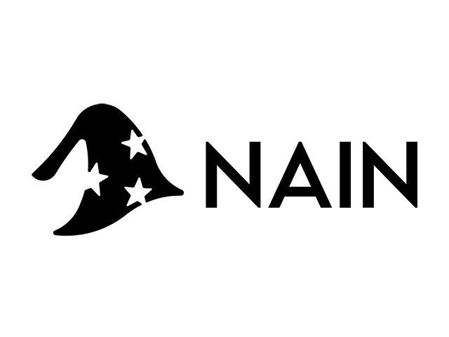 Nainには二つの意味があります。小人、１つはNetwork AI Nodes。