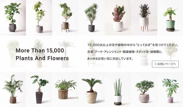 花や観葉植物の通信販売サイト運営のほか、リアル店舗でも観葉植物の卸売・委託直送サービスを行っている。通販サイト『HitoHana』ではデザイン性の高い商品を揃えていることが特徴。