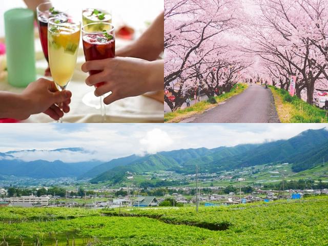 社員組合を中心に、新人歓迎会をはじめ社員旅行、そしてお花見や忘年会などを企画し、毎年実施しております。普段顔合わせがないだけに様々な話題で盛り上がり、明日への活力にしています。2018年度には山梨県のワイン工場見学へ行っております。