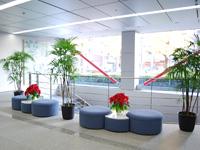 ODBががっちりと本社屋を守っている