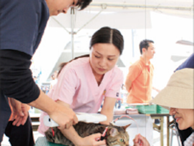 2006年3月より、日本で初めて販売するすべての子犬・子猫にマイクロチップ装着を開始した。これまでに約10万頭にマイクロチップを装着した。この数はAIPO（動物ID普及推進会議）に登録されているペットの総数60万頭の約17％にあたる。また、2011年5月からはペットイベントでの無償装着会や、提携動物病院への無償提供の実施し普及活動を進めている。