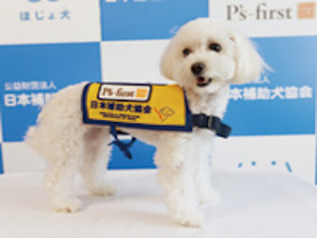 身体に障がいを持つ方の生活を助ける補助犬（盲導犬・聴導犬・介助犬）の活躍の場は徐々に広がっているが、その中でも耳の不自由な方に音を知らせ生活をサポートする「聴導犬」は、まだまだ認知度が低く頭数が少ないのが現状である。同社は、2016年8月より公益財団法人日本補助犬協会と共同で聴導犬の普及促進、育成活動を行っている。