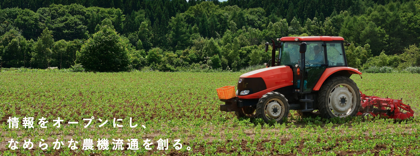 企業トップ画像