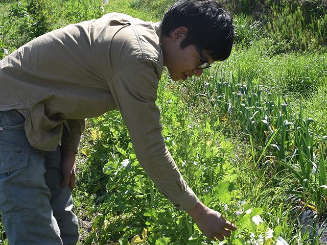 ココノミでは、全国の少量生産者が生み出す野菜・果物の特徴を、しっかり取材して、生活者が安心して食べられるように情報を開示している。