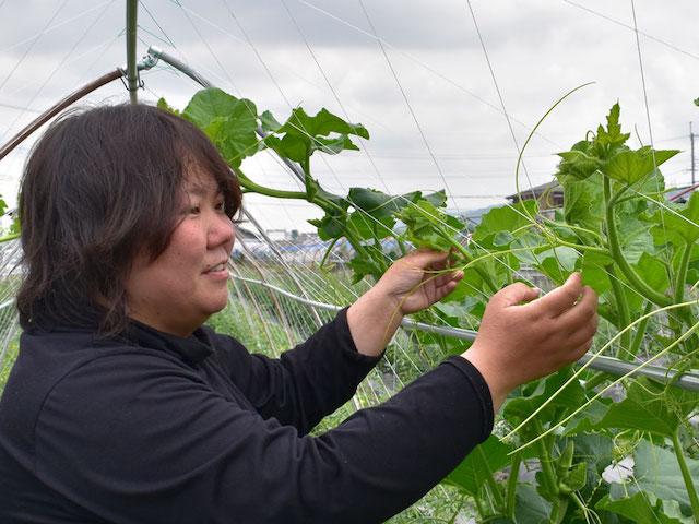 少量生産でつくり手の個性が詰まった野菜は、より自然志向で、味わいにしっかりとした特徴があり、つくり手の想いやストーリーがある。