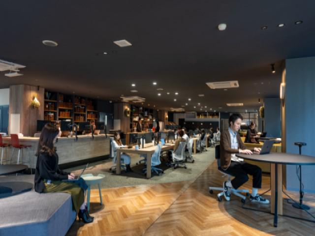 株式会社 レイヤード（旧：メディアコンテンツファクトリー）のイメージ画像1