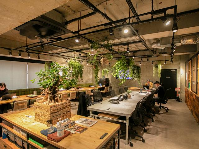 株式会社 ユニバーサル園芸社のイメージ画像3