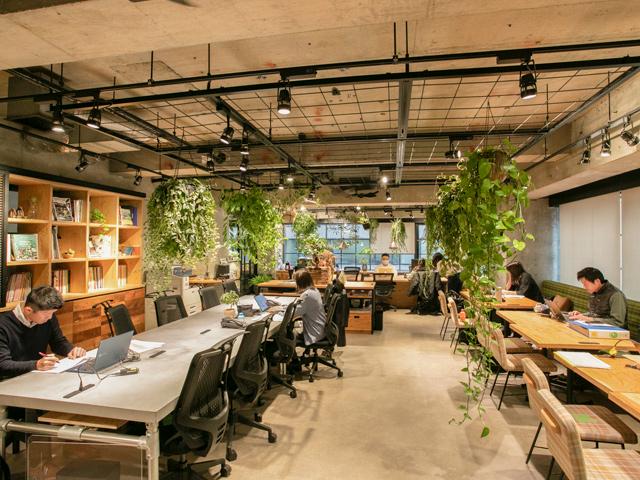 同社の強みは、園芸という領域で幅広い事業を展開し、植物の生産から手配、配送、メンテナンスまで自社グループで一貫して手掛けられることだ。