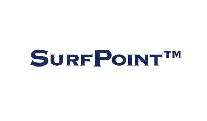 同社サービスの基盤となる「SURFPOINT™」。「IP Geolocation」の技術を生かし、日本国内唯一のパイオニアとして、様々なサービスを展開している。