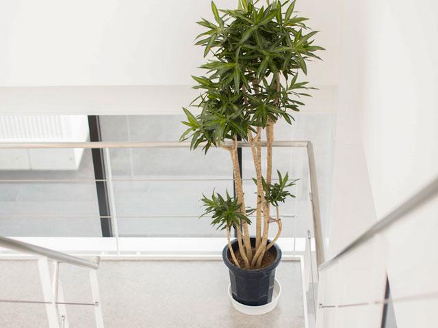 諸部門と密に連携し、プロジェクトを進められるコミュニケーション能力のある人材を求めている。