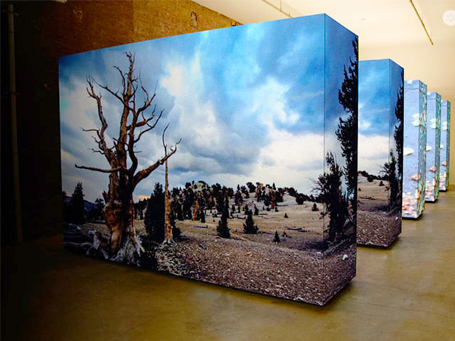 グループには250名以上の社員がいて、横の繋がりがあり交流も活発。イベントは土日が主体だが、常設を手掛ける同社では計画通りに休むことが当たり前の雰囲気だ。