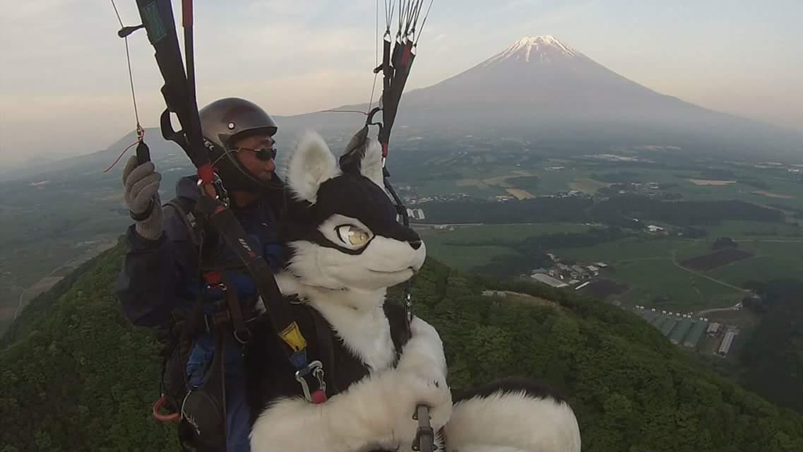 株式会社 JAMのイメージ画像2