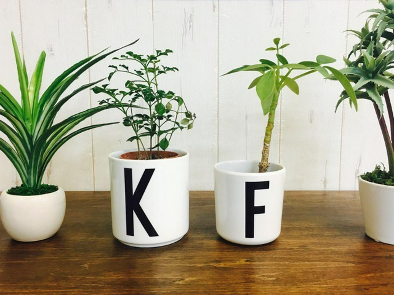 株式会社コンファクトリー 求人画像1