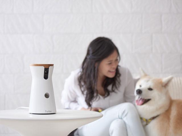 Tomofun株式会社は、2014年に設立されたペットテクノロジー企業、Tomofunの日本法人だ。