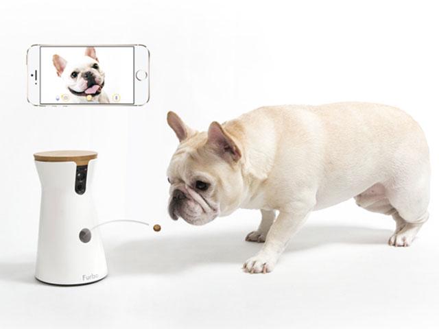 iOS/Androidのスマートフォンやタブレットの専用アプリを通して、外出先から留守番中の愛犬を見たり、話しかけたり、おやつをあげることができる。