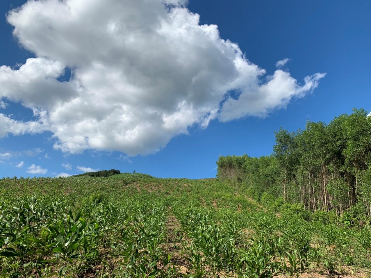 バイオマス・フューエル 株式会社のイメージ画像2