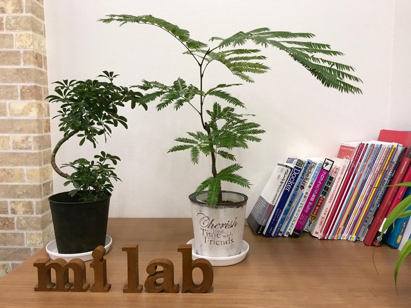 企業トップ画像