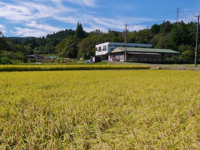 前身の会社から20年以上の歴史があり、有力ベンチャーのグループ企業となったことで、事業拡大フェーズにある。