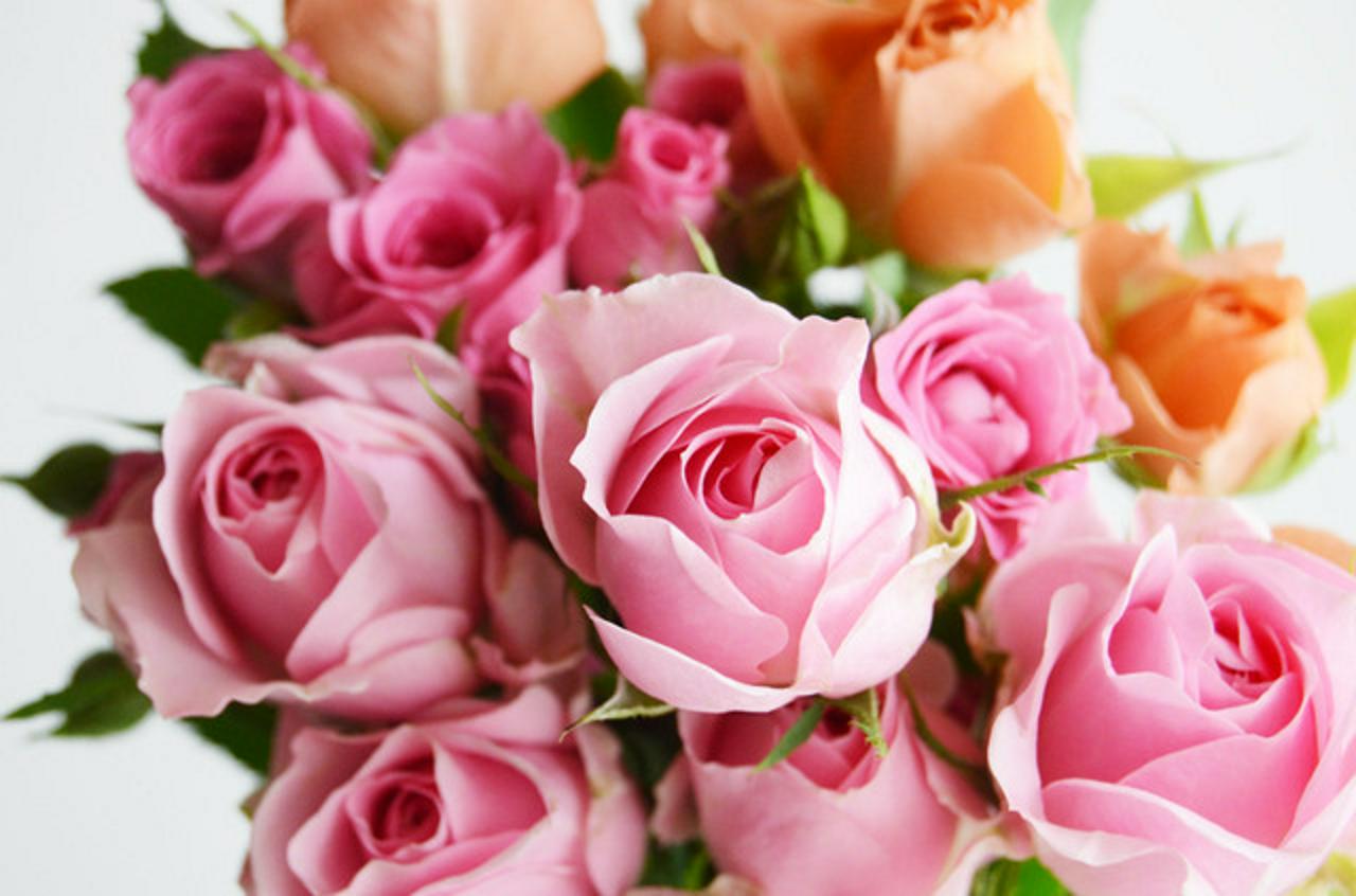 株式会社シフラ 求人画像1