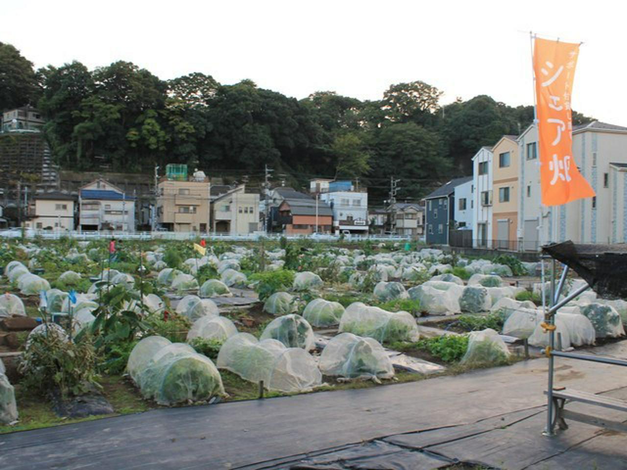 株式会社アグリメディア 求人画像1