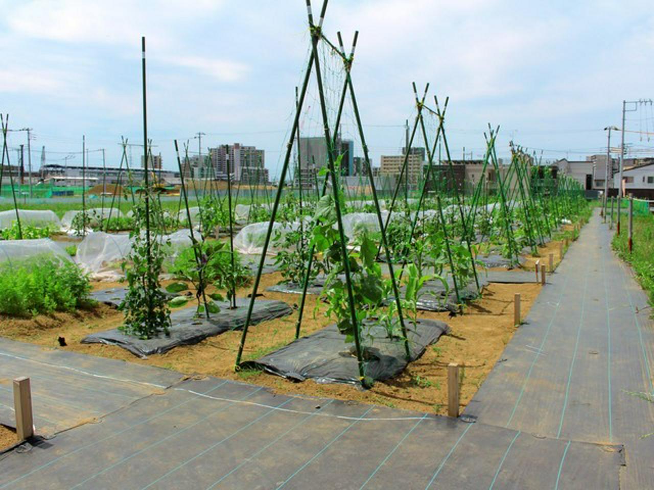 株式会社アグリメディア 求人画像1