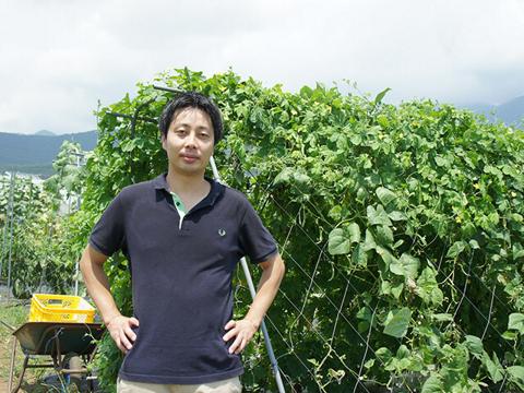 Webエンジニア Db構築 運用 プログラム開発など 株式会社 アグリメディア It Web業界の求人 採用情報に強い転職サイトgreen グリーン 16 05 13 49 47更新 Id