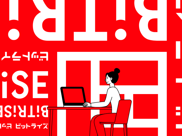 株式会社 ビットライズのイメージ画像2
