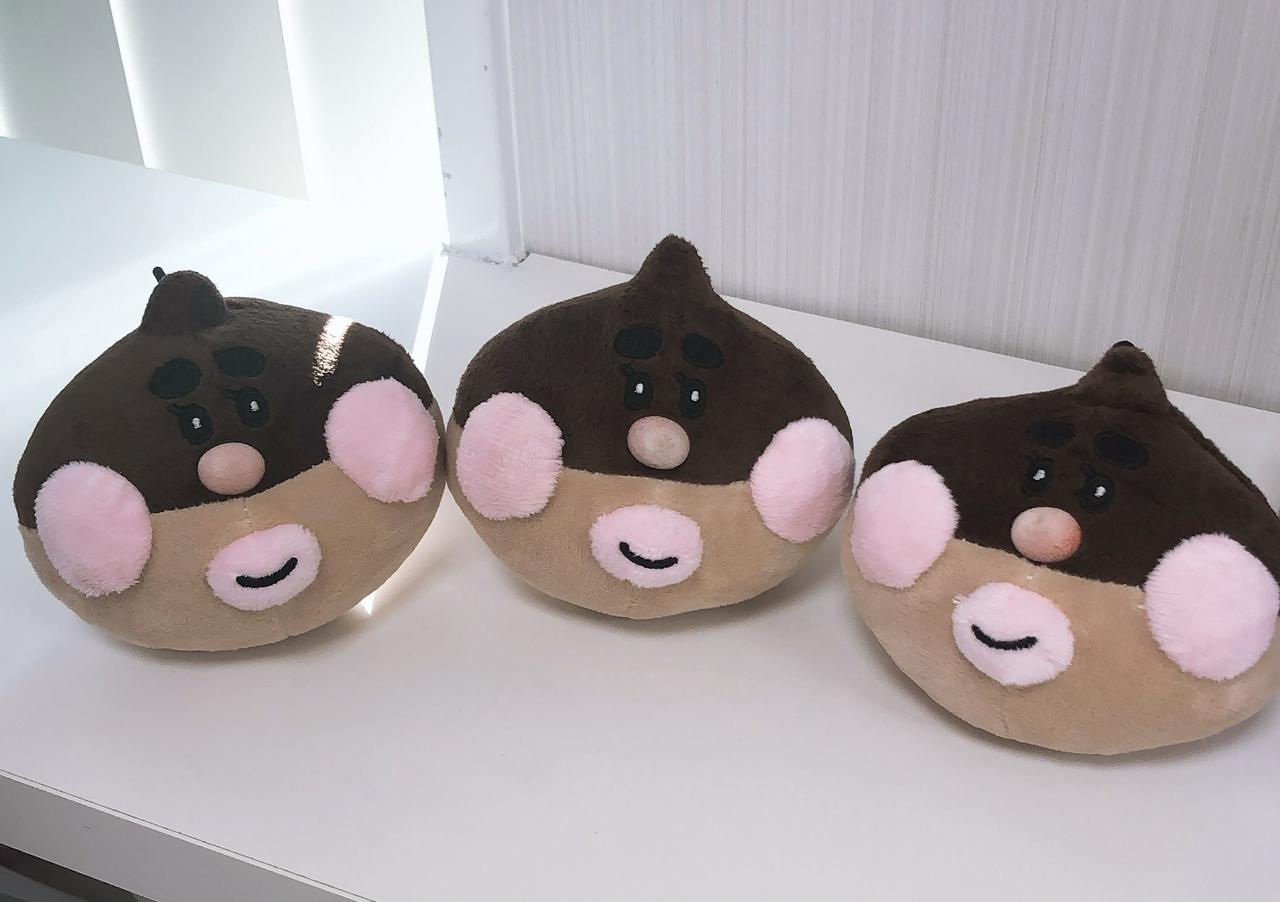 株式会社メディクルード 求人画像1