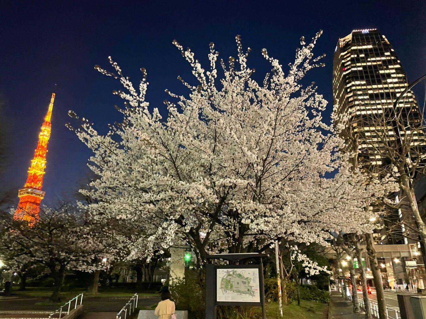 地下鉄「御成門駅」直通！
通勤に便利な立地のオフィス通勤も、フルリモート勤務も選択可能です。