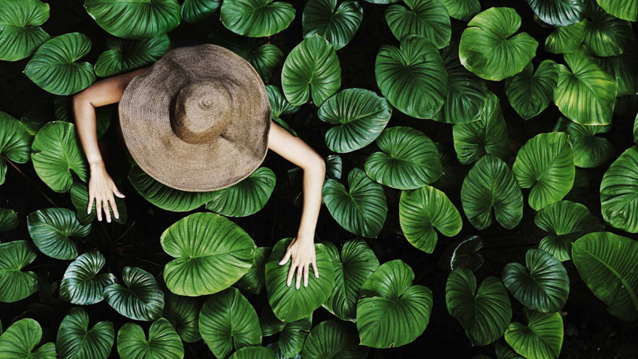 株式会社ハースト婦人画報社 求人画像1