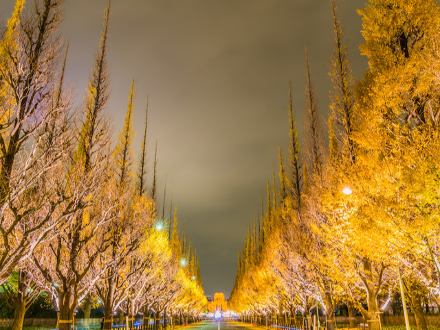 日本法人は、南青山にオフィスを構えています。夏はオフィスから神宮花火が見えます。オフィスの目の前の銀杏並木は多くのドラマ撮影に使用され、観光名所になっています。