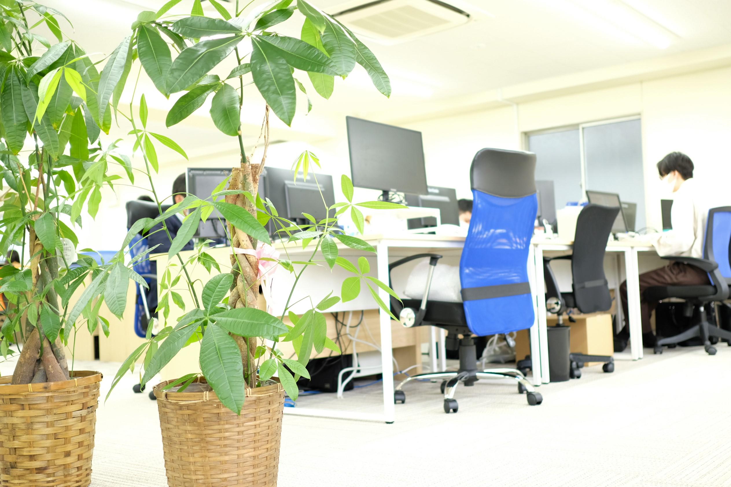 一般的にスタートアップに対してイメージされがちな、アグレッシブ過ぎる雰囲気はなく、非常に落ち着いた雰囲気を持っている。