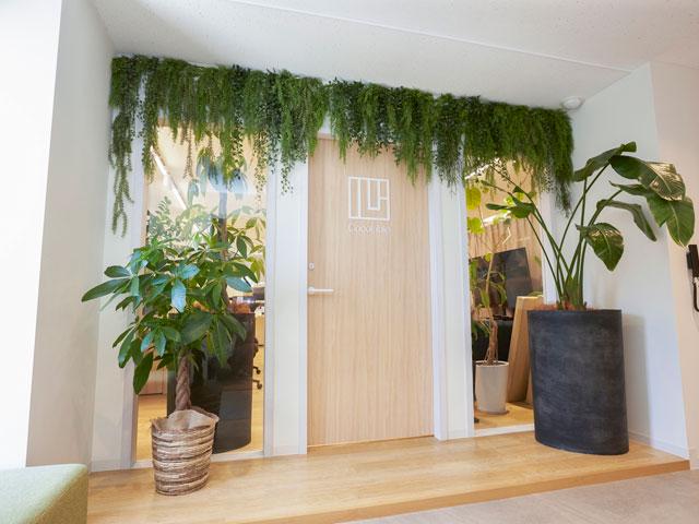 出社の際もリラックスできるようグリーンの多い空間にしています。（人事：大島）