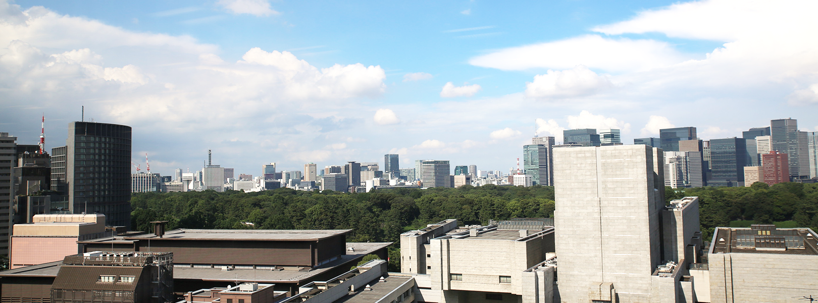 企業トップ画像