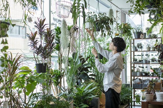 直営店（小売）事業、カフェ・レストラン事業、卸売／ICAショップ事業、アパレル・グリーン事業、コントラクト（対法人）事業、レジデンス事業、リノベーション事業を運営。
