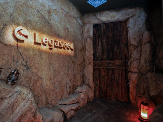 オフィスのエントランス。洞窟のような空間で、まるで某テーマパークにいるような錯覚に陥る。こんなオフィスなら社員も毎日ワクワクしながら出社することだろう。事実、オフィスへの出社率は90%を超えるという。