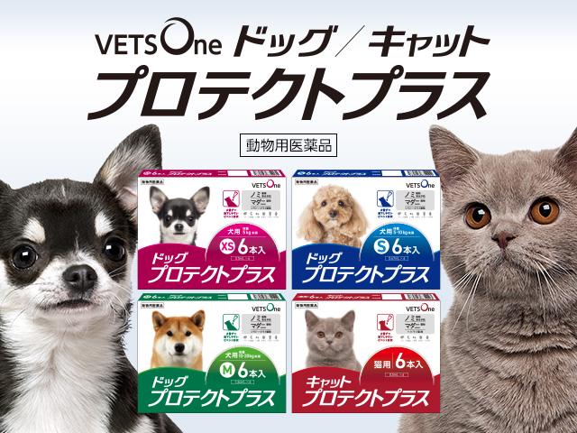 「Happy Pet Life, Happy World～ペットライフを幸せに、世の中を幸せに」をスローガンに、ペットのQOL向上を経営理念とし、ペットの健康寿命を最大化していくことを使命としている。写真は同社のジェネリック動物用医薬品「プロテクトプラス」。