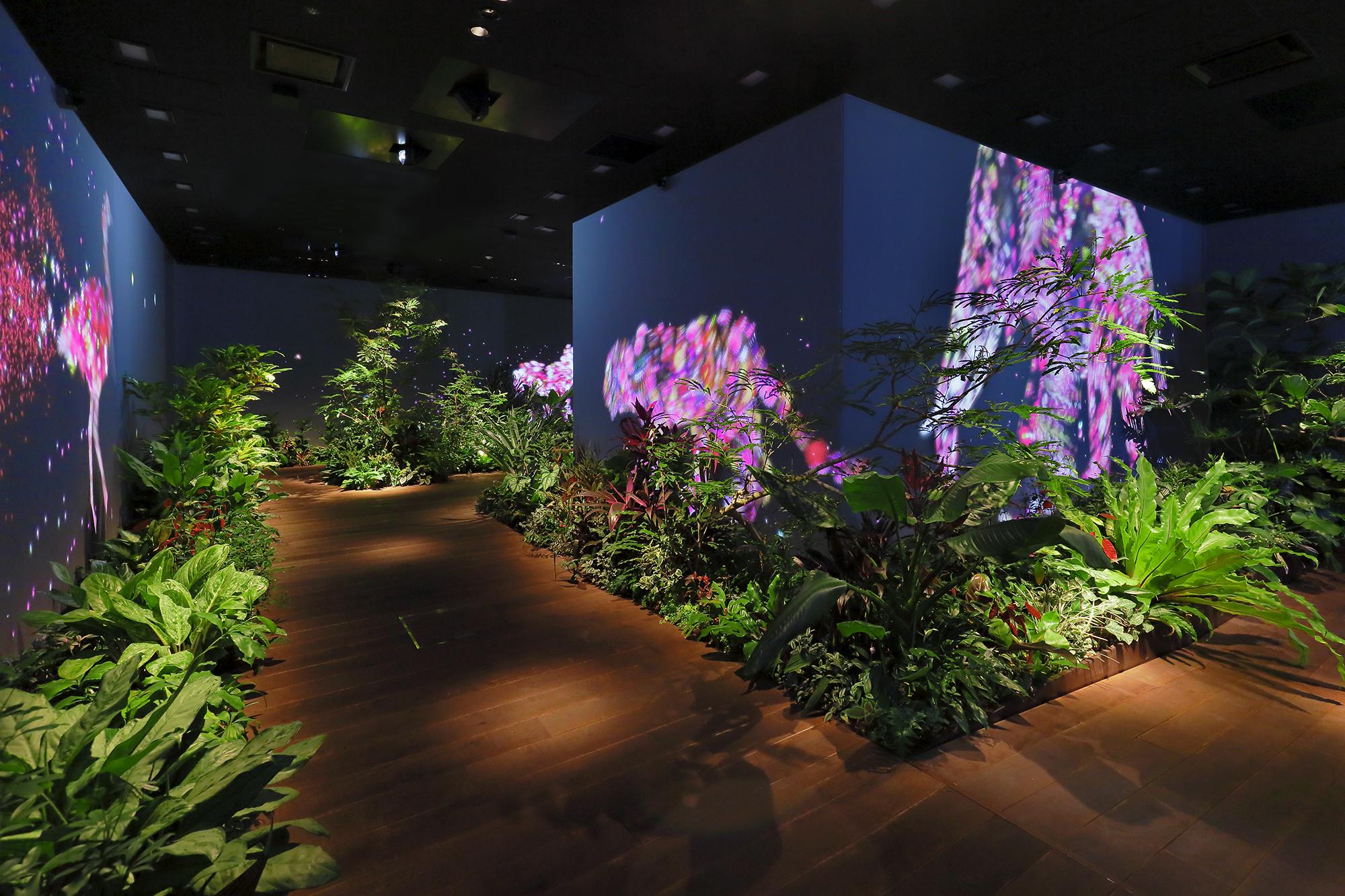 企業トップ画像