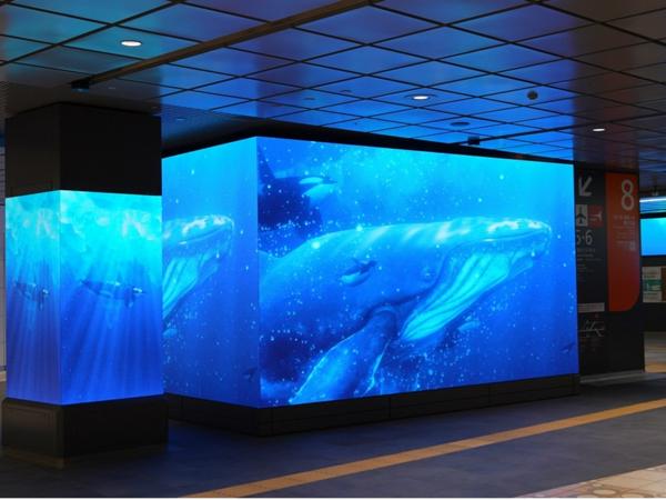 募集している求人：デザイナー（東京/京都）