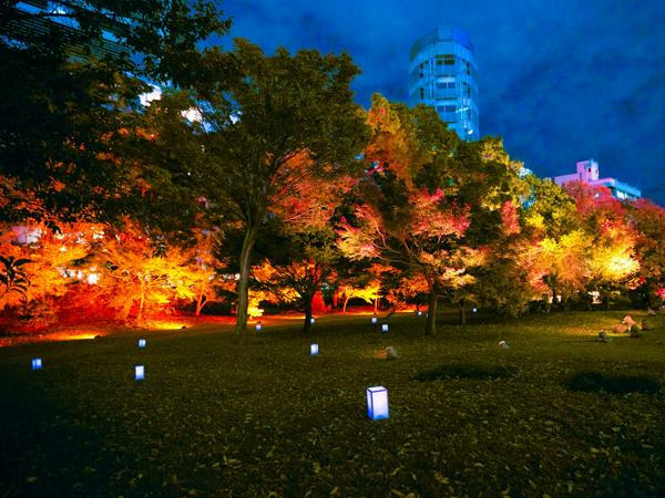 募集している求人：プロジェクトマネージャー（東京）