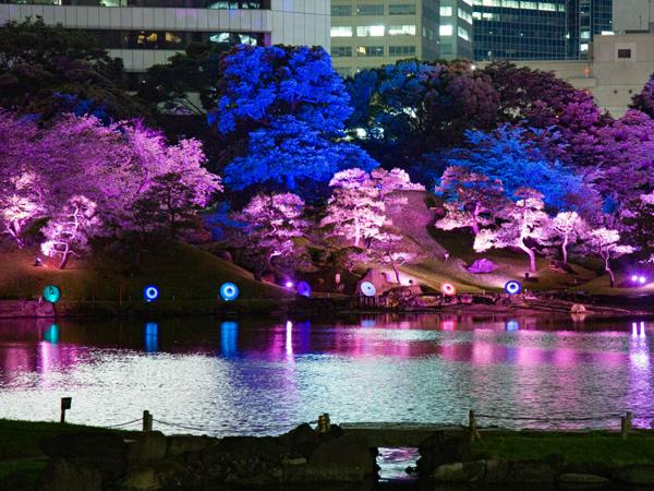 募集している求人：アカウント（京都/シニア）